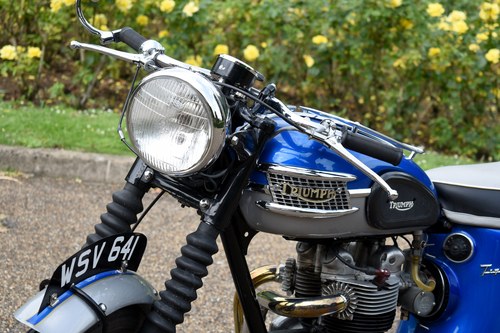 1962 Triumph Tiger T100SS For Sale (picture 35 of 97)