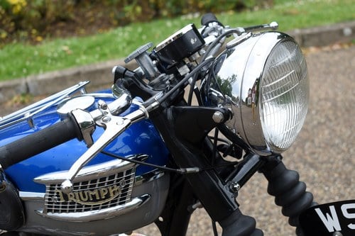 1962 Triumph Tiger T100SS For Sale (picture 33 of 97)