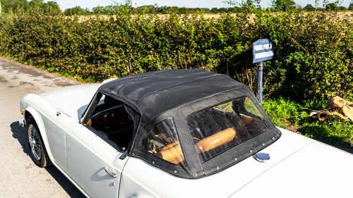 1969 Triumph TR6 CP150 In vendita (immagine 100 di 130)