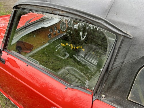 1973 Triumph TR6 PI Roadster à vendre (picture 175 of 305)