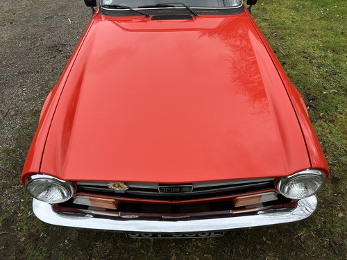 1973 Triumph TR6 PI Roadster à vendre (picture 136 of 305)