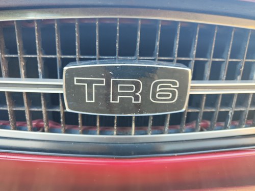 1974 Triumph TR6 à vendre (picture 96 of 204)