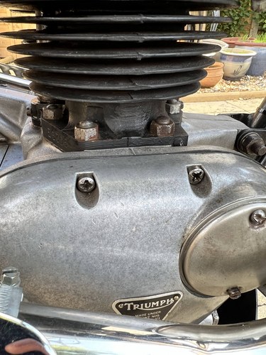 1963 Triumph TR6SS Desert Sled En venta (imagen 62 de 62)