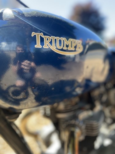 1963 Triumph TR6SS Desert Sled En venta (imagen 17 de 62)