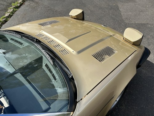 1982 Triumph TR7 V8 Convertible For Sale (picture 205 of 338)