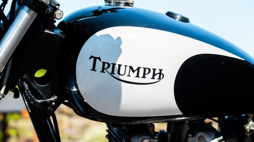 1979 Triumph TR7 Tiger 750 In vendita (immagine 17 di 80)