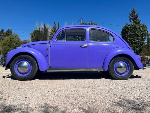 1964 Volkswagen Beetle 1300 For Sale (picture 4 of 87)