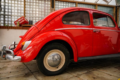 1957 Volkswagen Beetle Deluxe Oval Window Te koop (foto 11 van 191)