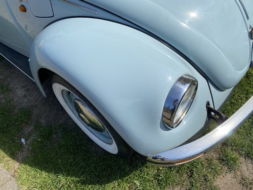 2004 Volkswagen Beetle Ultima Edition In vendita (immagine 131 di 219)