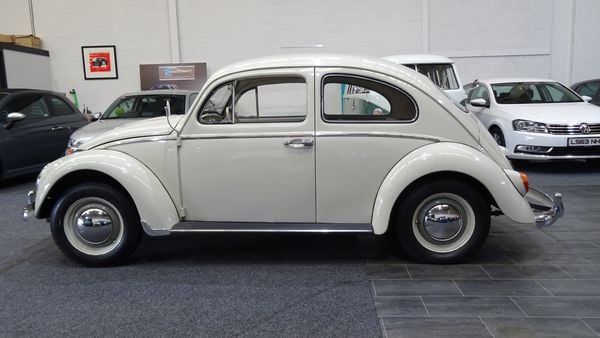 1961 Volkswagen Beetle For Sale (picture :index of 4)