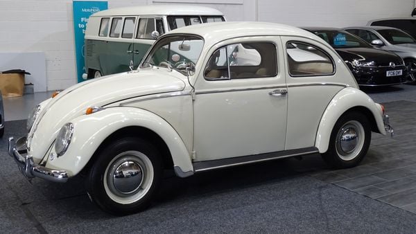 1961 Volkswagen Beetle For Sale (picture :index of 1)