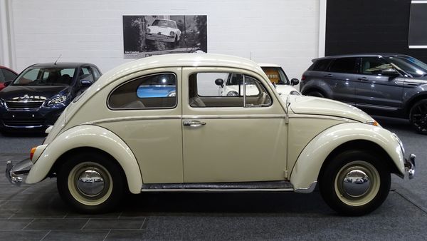 1961 Volkswagen Beetle For Sale (picture :index of 8)