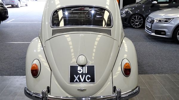 1961 Volkswagen Beetle For Sale (picture :index of 6)