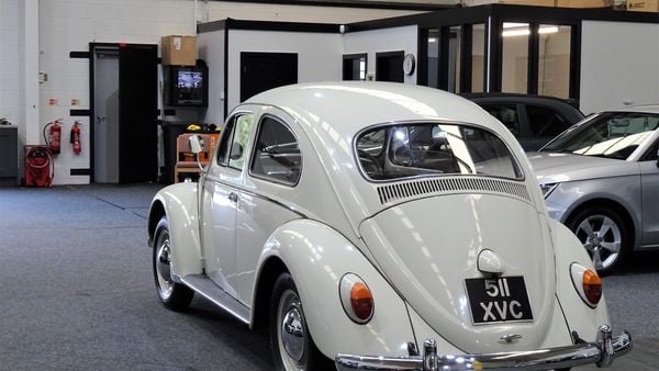 1961 Volkswagen Beetle For Sale (picture :index of 28)