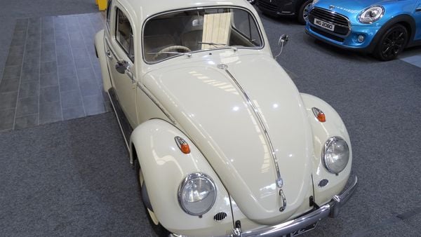 1961 Volkswagen Beetle For Sale (picture :index of 21)