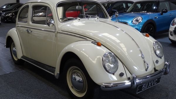 1961 Volkswagen Beetle For Sale (picture :index of 9)