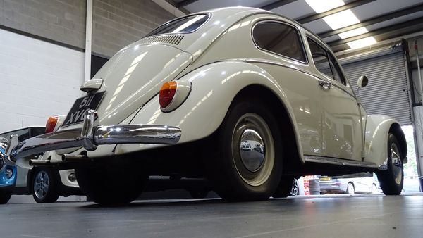 1961 Volkswagen Beetle For Sale (picture :index of 14)