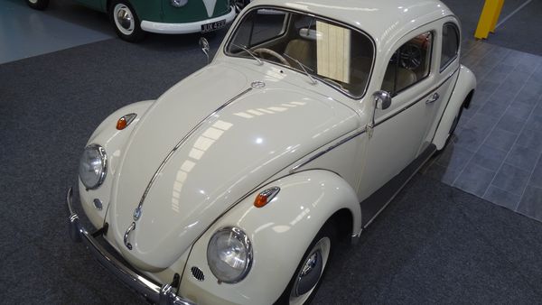 1961 Volkswagen Beetle For Sale (picture :index of 20)