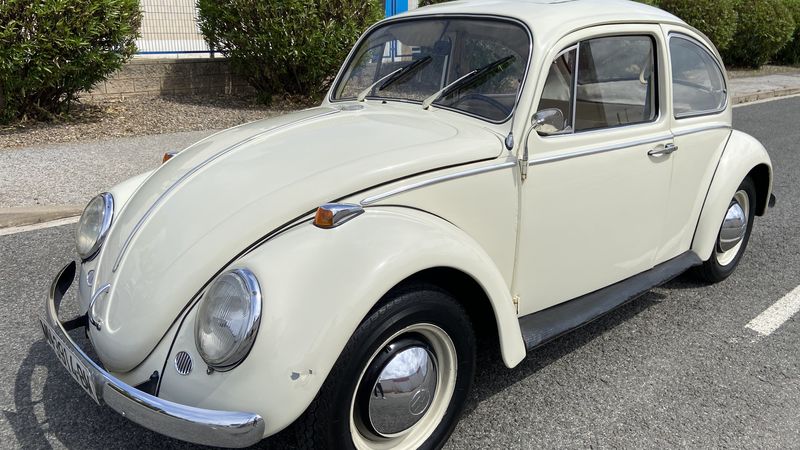 1965 Volkswagen Beetle 1300 For Sale (picture 1 of 99)