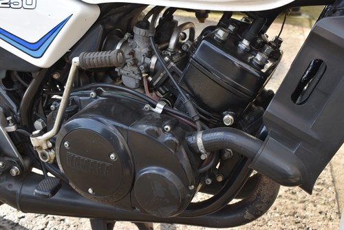1980 Yamaha RD250LC à vendre (picture 36 of 41)