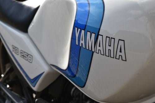 1980 Yamaha RD250LC à vendre (picture 27 of 41)