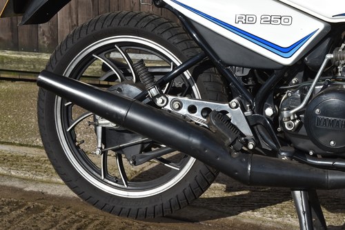 1980 Yamaha RD250LC à vendre (picture 19 of 41)