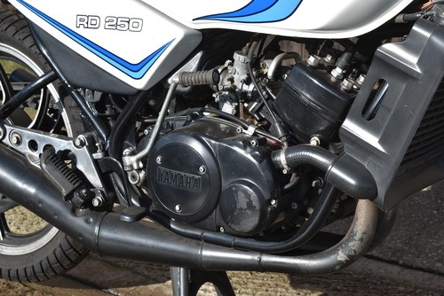 1980 Yamaha RD250LC à vendre (picture 35 of 41)