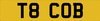 1999 Private number plate AC Cobra - Cherished Numbers - T8 COB In vendita