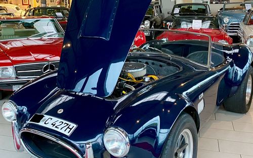 1965 AC Cobra 427 MKIII CSX 3055 particularly valuable (picture 1 of 9)