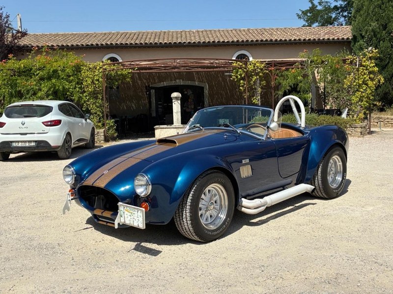 1991 AC Cobra - 1 1991 AC Cobra - 1