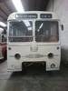 AEC Reliance coach 1955 GWG 94 - PVS 984 In vendita