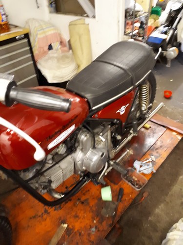 1974 Aermachi 350ss For Sale
