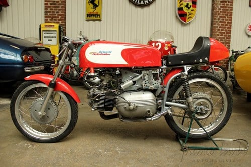 1966 AERMACCHI 250 ala d'Oro Kaufen Bei