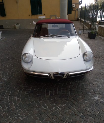 1969 Alfaromeo Duetto 1750 spider In vendita