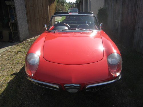 1969 Alfa Spider In vendita