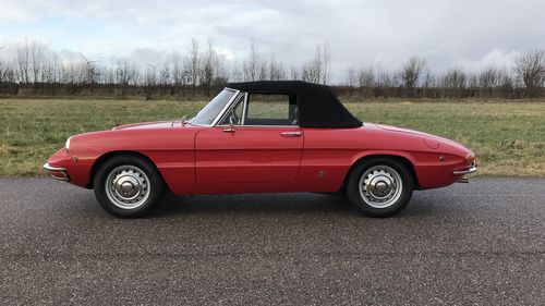 Picture of 1969 1750 Spider Veloce Duetto - For Sale