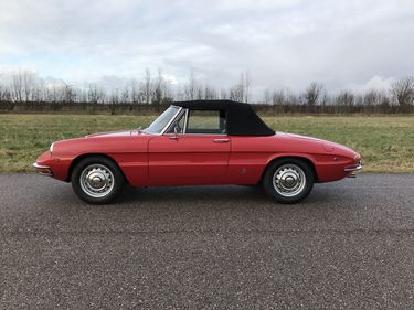 Picture of 1969 1750 Spider Veloce Duetto For Sale