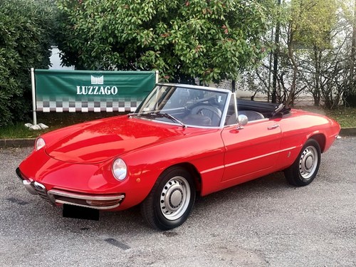 1968 Alfa Romeo - Junior Spider 1300 "osso di seppia" In vendita