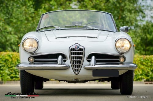 1964 Alfa Romeo Giulia 1600 Spider Kaufen Bei