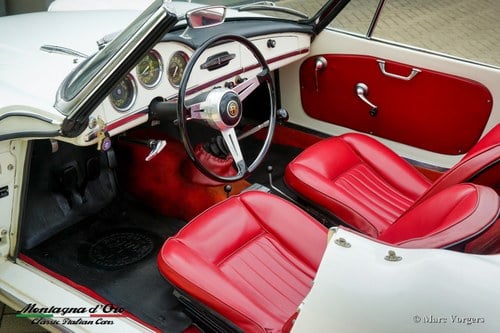 1964 Alfa Romeo Giulia - 3