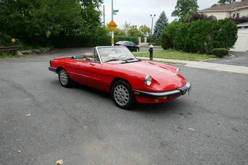 1985 Alfa Romeo Spider Low Miles Nice Driver (St #2365) For Sale