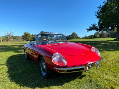 1969 Alfa Romeo Duetto Boat tail Spider 1750 Veloce SOLD