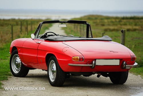 1966 Very early Alfa 1600 Duetto Spider For Sale