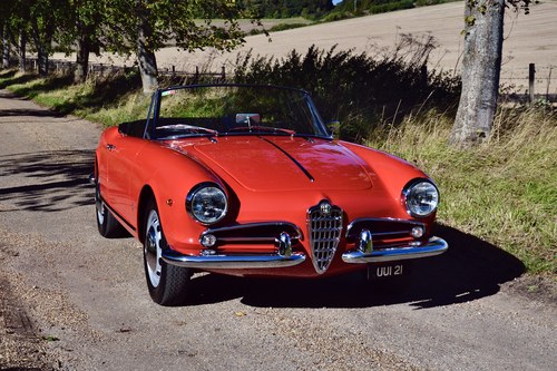 1960 Alfa Romeo Giulietta Spider Veloce - Concours Kaufen Bei
