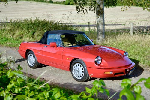 1991 Alfa Romeo Spider Series 4 - Concours Condition Kaufen Bei