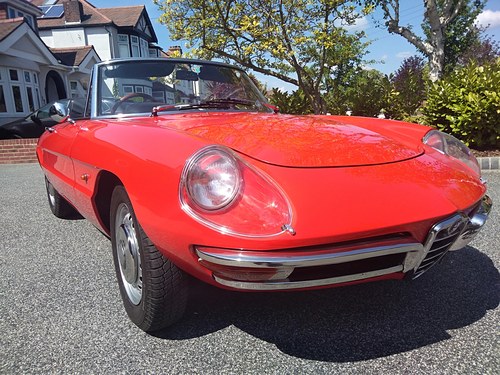 1967 Alfa Romeo Duetto Spider SOLD