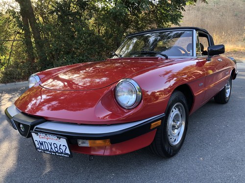 ***1986 Alfa Romeo Spider Graduate (LOW MILEAGE) For Sale