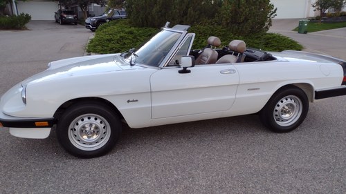 1989 Alfa Romeo Spider immaculate time warp car For Sale