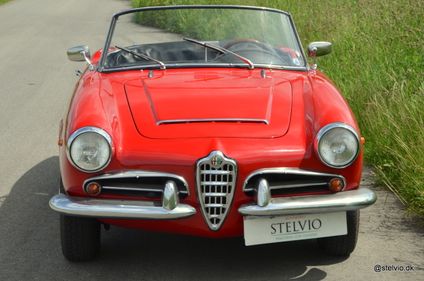 Picture of Alfa Romeo Giulia Spider - 1965