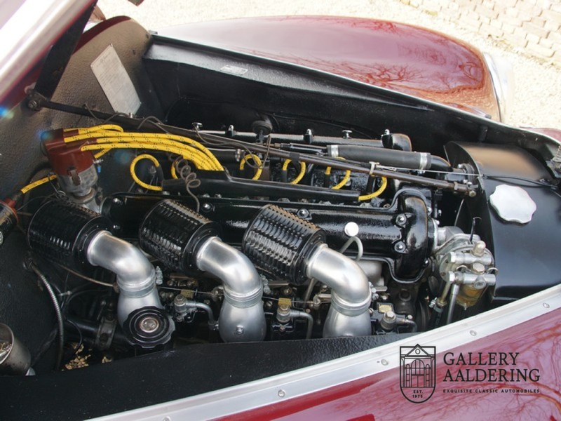 1953 Alfa Romeo 6C - 4